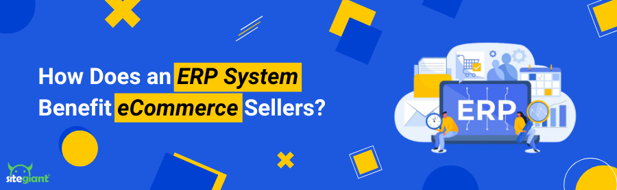 ecommerce erp
